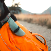 Składana miska Hydrapak Rover Dog Bowl