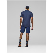 Spodenki męskie Norrona femund flex1 light Shorts