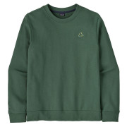 Bluza męska Patagonia M's Fitz Roy Massif Daily Crew zielony Canopy Green