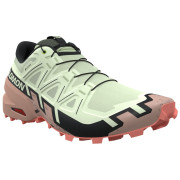 Buty damskie Salomon Speedcross 6 Gore-Tex