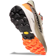 Buty do biegania dla mężczyzn Dynafit Ultra 100 V3