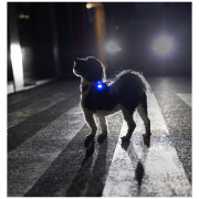 Światełko do obroży Curli Luumi Safety LED Lights rechargeable
