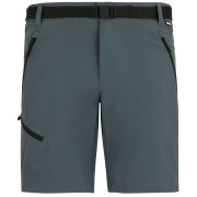 Spodenki męskie Regatta Xert Stretch Shorts szary Dark Storm