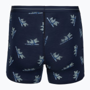 Męskie bokserki Icebreaker Men M 150 Anatomica Boxers BearTourAOP