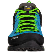 Buty męskie Salewa Ms Mtn Trainer 2 Gtx