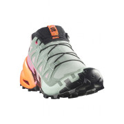 Damskie buty do biegania Salomon Speedcross 6 Gtx Icon W