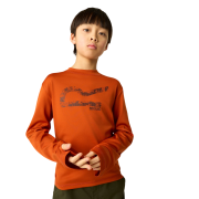 T-shirt dziecięcy Regatta Winter Alvarado Rooibos Tea