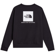 Bluza męska The North Face M Evolution Box Nse Regular Crew