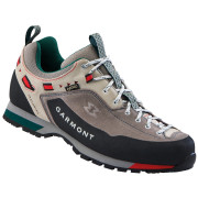 Buty męskie Garmont Dragontail LT GTX szary Anthracite/LightGray