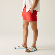 Męski strój kąpielowy Regatta Mawson Swim Shorts III