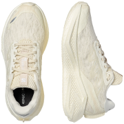 Damskie buty do biegania Salomon Aero Glide 4