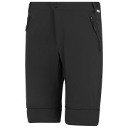 Spodnie męskie Regatta Mountain Z/O Trousers