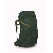 Plecak dziecięcy Osprey Ace 38 zielony green canopy/matcha green