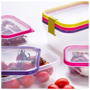 Pudełko na jedzenie Omada Sanaliving Box Set 3x 24x16,5x8cm/2L