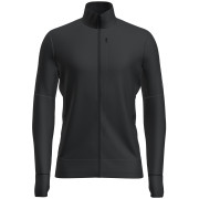 Męska bluza Icebreaker M Mer 260 Quantum IV LS Zip czarny Black