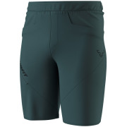 Spodenki męskie Dynafit Traverse Hybrid Shorts M