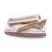Zabawka dla psa Explorer Dog Antler Chew easy
