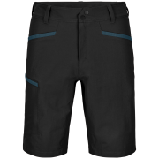 Spodenki męskie Ortovox Pelmo Shorts M