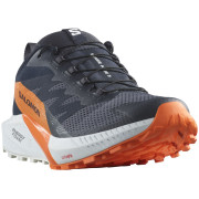 Buty do biegania dla mężczyzn Salomon Sense Ride 5 Gore-Tex