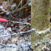 Kieszonkowa piła łańcuchowa Nordic Pocket Saw piła