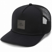 Bejsbolówka Dakine Coastline Trucker czarny/szary black