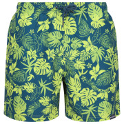 Męskie szorty Regatta Loras Swim Short m