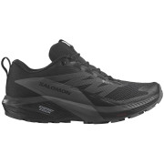 Damskie buty do biegania Salomon Sense Ride 5 Gore-Tex