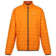 Kurtka męska Regatta Hillpack pomarańczowy Orange Pepper(Burnt Copper)