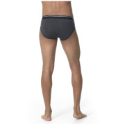 Slipy męskie Icebreaker Mens Anatomica Briefs