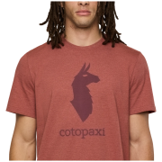 Koszulka męska Cotopaxi M'S Cotopaxi Llama T-Shirt
