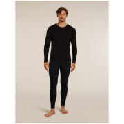 Zestaw męski Icebreaker M 175 Everyday LS Crewe and Leggings Set