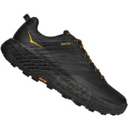 Buty do biegania dla mężczyzn Hoka One One Speedgoat 4 Gtx