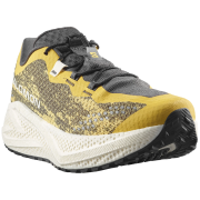 Buty do biegania dla mężczyzn Salomon Aero Glide 4 Grvl