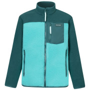 Bluza dziecięca Regatta Junior Frankie Warm Fleece Mediterranea/Turquoise jasnozielony/ciemnozielony Mediterranea/Turquoise