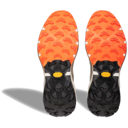 Buty do biegania dla mężczyzn Dynafit Ultra 100 V3