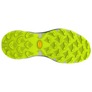 Buty do biegania dla mężczyzn Dynafit Ultra 100 V3