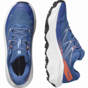 Buty męskie Salomon Ultra Flow 2 Gore-Tex