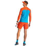 Koszulka męska Dynafit Alpine Pro M L/S Tee