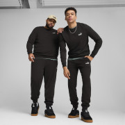 Męskie spodnie dresowe Puma ESS No. 1 Logo Sweatpants TR cl