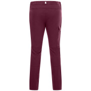 Spodnie dziecięce Regatta Tech Mountain Trousers Fig