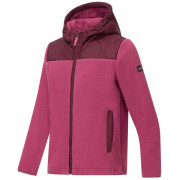 Bluza dziecięca Regatta Myla Hybrid Jacket Fig/Violet