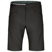 Męskie szorty Ortovox Brenta Shorts M 2024 czarny black raven