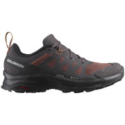 Damskie buty trekkingowe Salomon Ardent Gore-Tex czarny/brązowy Shale / Wild Ginger / Shale