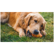 Zabawka dla psa Ruffwear Gnawt-a-Cone™ Toy