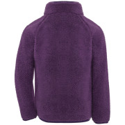 Bluza dziecięca Didriksons Gibbs Kids Fullzip 2 Northen Purple
