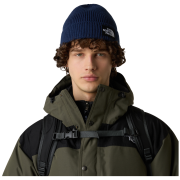 Męska czapka The North Face Tnf Logo Box Cuffed Beanie