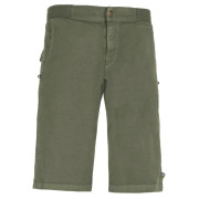Męskie szorty E9 Kroc Flax Men's zielony Agave