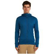 Męska bluza Icebreaker M Mer 260 Quantum IV LS Zip Hoodie