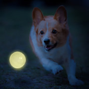 Zabawka dla psa Nerf Dog LED launcher Air Strike