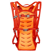 Plecak Salewa Apex Climb 18 Bp